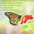 Magical Monarch Butterfly Inspirational Card and Art
